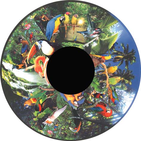 Aura and Solar Projector - 6 Inch Magnetic Picture Wheel-[OPTI] Kinetics, Autism, Chill Out Area, Matrix Group, Neuro Diversity, Sensory Projectors, Teenage Projectors, Underwater Sensory Room-VAT Exempt-Tropical Birds-Learning SPACE