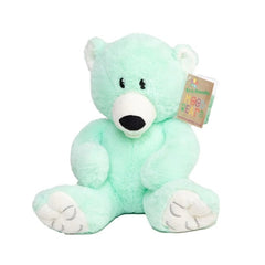 Calm Bear - Mood Bear-Additional Need, Comfort Toys, Eco Friendly, Emotions & Self Esteem, Helps With, Mood Bear, PSHE, Social Emotional Learning-Learning SPACE