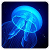 Lumina Large Lightup LED Jelly Fish Tank-AllSensory, Calmer Classrooms, Helps With, Lumina, Playlearn, Sensory Light Up Toys, Stock, Stress Relief, Toys for Anxiety, Underwater Sensory Room, Visual Sensory Toys-Learning SPACE