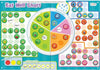 Magnetic Eat Well Chart - Encourages Healthy Eating-Additional Need, Calmer Classrooms, Early Years Books & Posters, Feeding Skills, Fiesta Crafts, Helps With, Life Skills, Planning And Daily Structure, PSHE, Schedules & Routines, Social Emotional Learning, Social Stories & Games & Social Skills, Stock-Learning SPACE