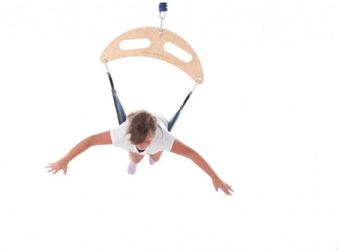 Sensory Therapeutic Frog Swing-Adapted Outdoor play, AllSensory, Gross Motor and Balance Skills, Helps With, Indoor Swings, Neuro Diversity, Outdoor Swings, Planning And Daily Structure, Playlearn, Proprioceptive, Sensory Processing Disorder, Stock, Teen & Adult Swings, Vestibular-Learning SPACE