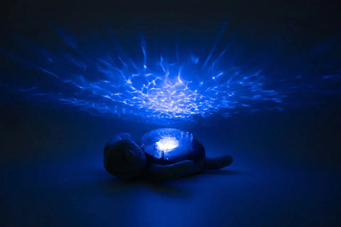 Tranquil Turtle® - Aqua (USB C Rechargeable)-Night Light, Projector, Sensory Light Up Toys, Sensory Projectors, Sleep Issues-Learning SPACE